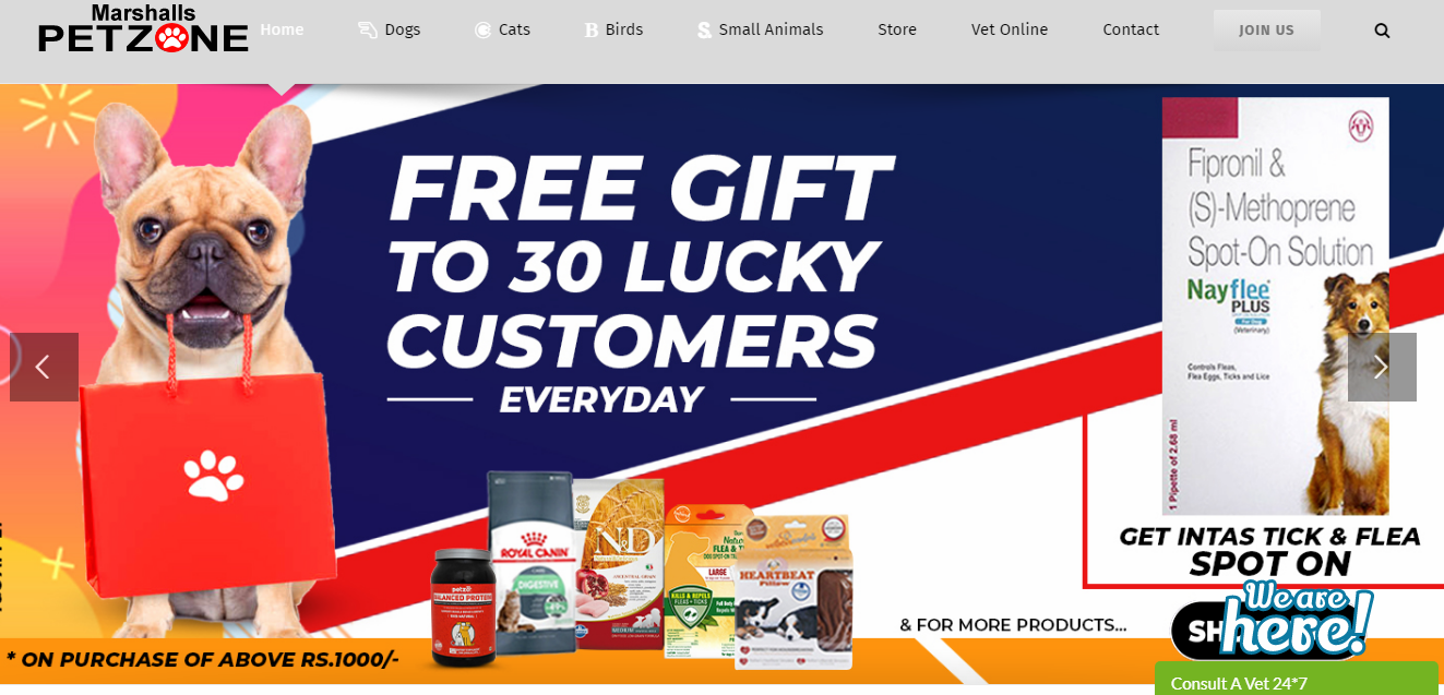 The 50 Best Pet Blogs of 2019 FindReviews